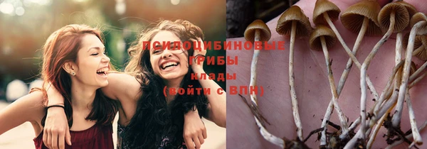 2c-b Алексеевка