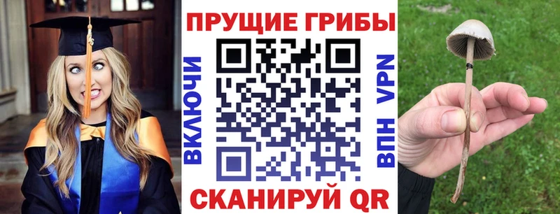 Галлюциногенные грибы прущие грибы  Кондопога 