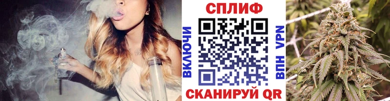 Бошки марихуана THC 21%  Кондопога 